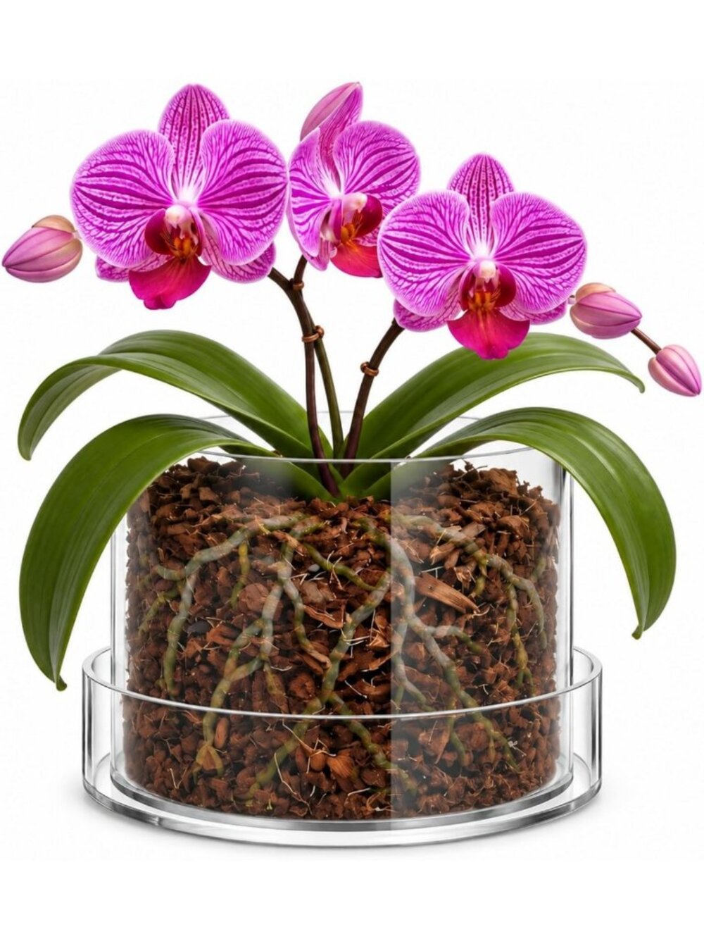 8-Inch Clear Acrylic Orchid Pot - Stylish Nursery Plant Container for Home Decor